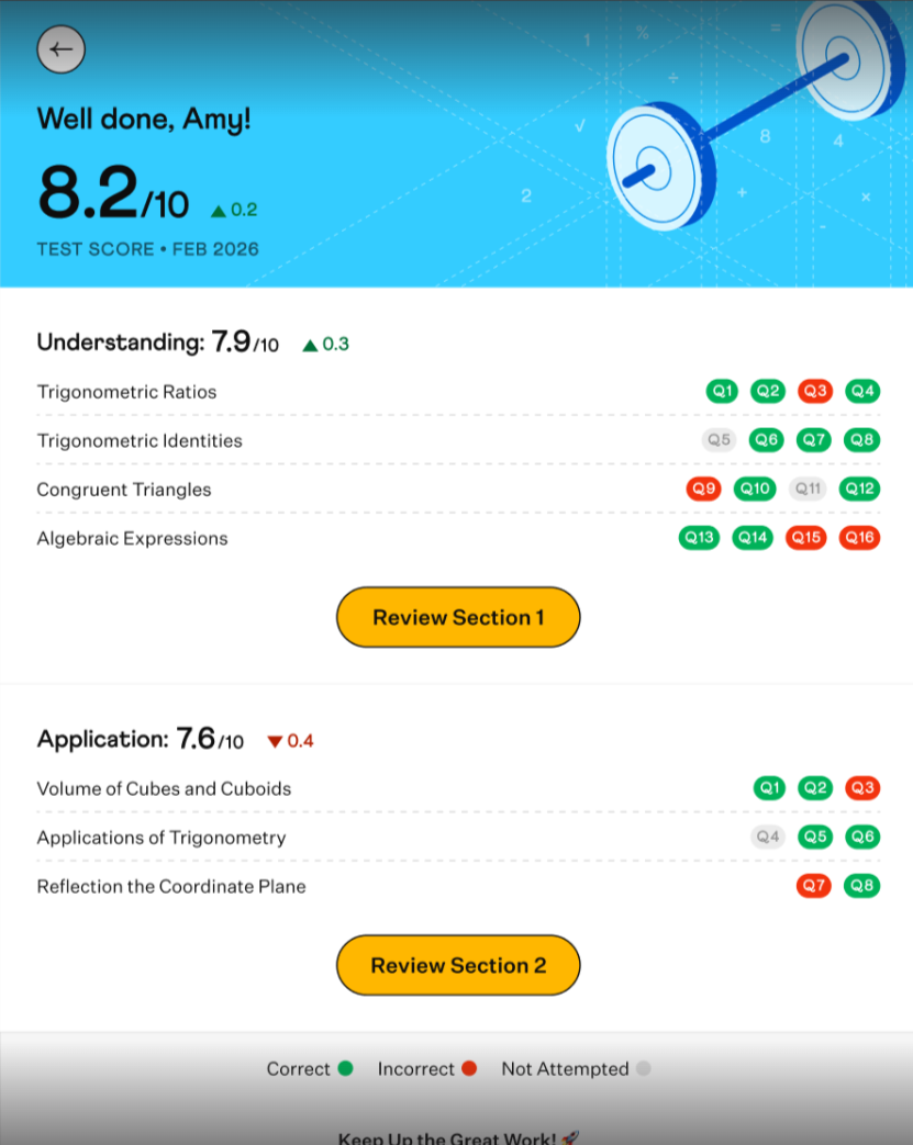 Screenshot of What would MathFit assessment result look like: A simple report with skill-wise score and report.