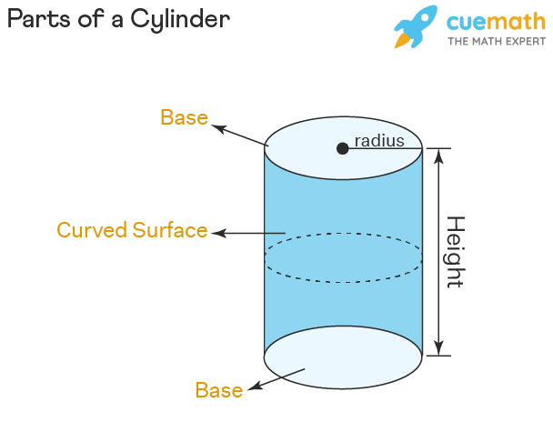 Parts of a Cylinder — showing Base, Curved Surface, radius and Height