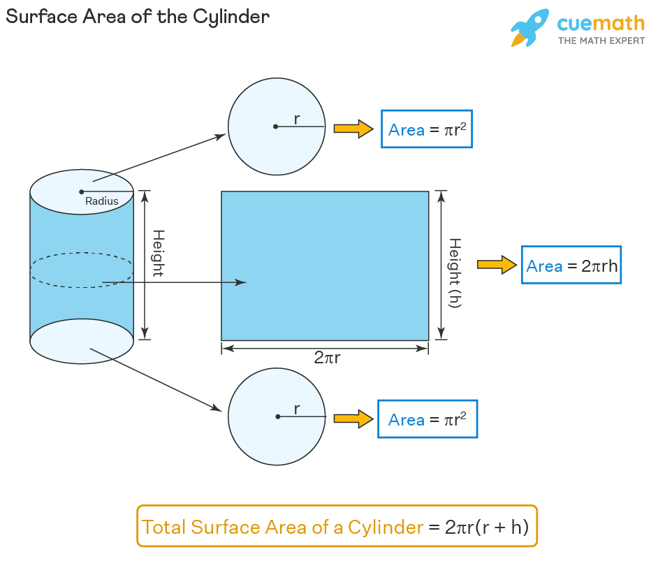 Surface area of cylinder diagram showing two circles and one rectangle